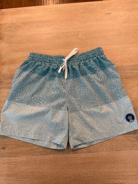 Men’s Chubbies Swim Trunks